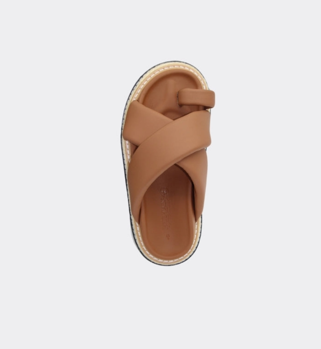 HUMAN / RULE / TAN