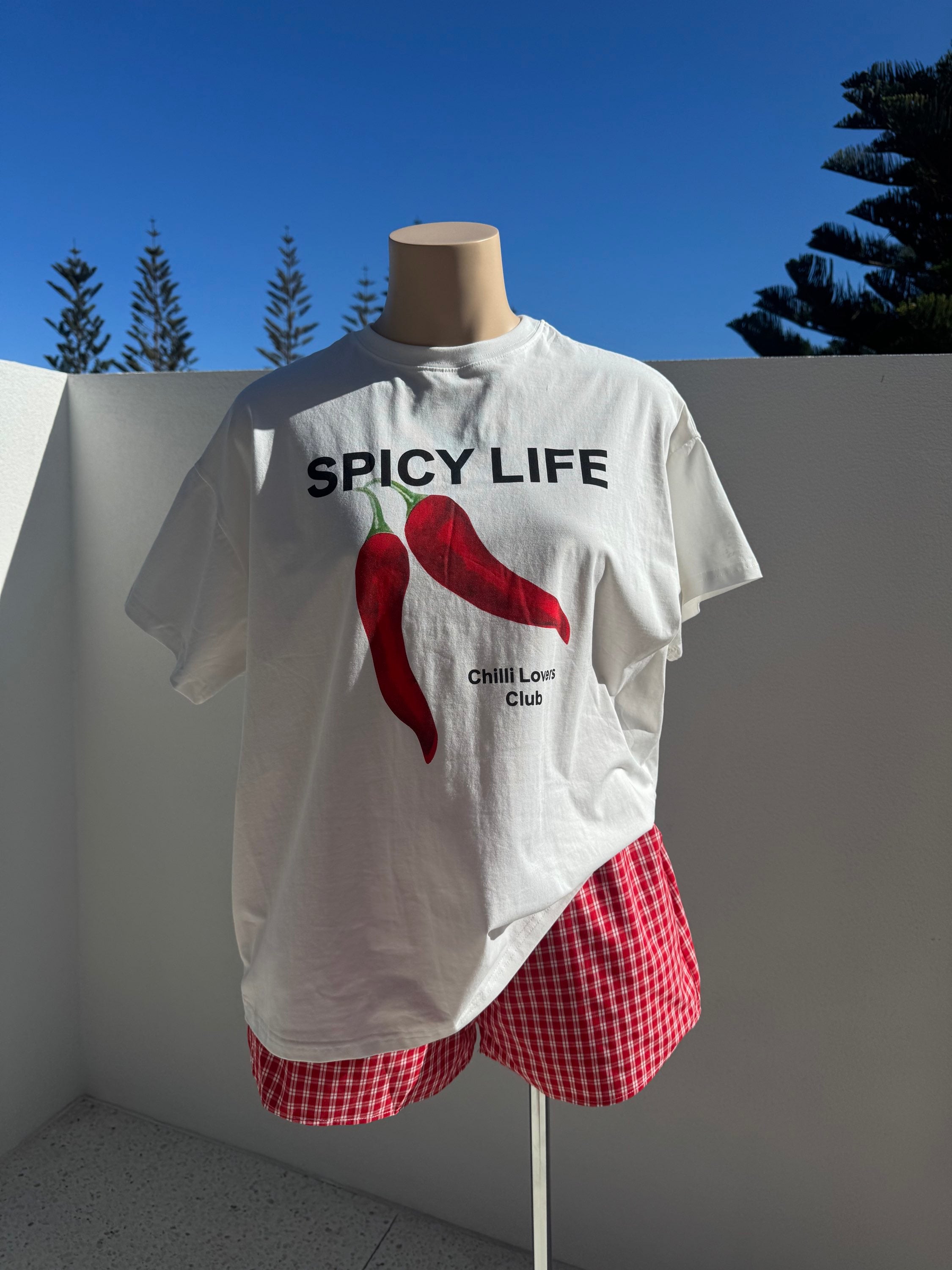 BY FRANKIE / SPICY LIFE SHORTS / 452-1