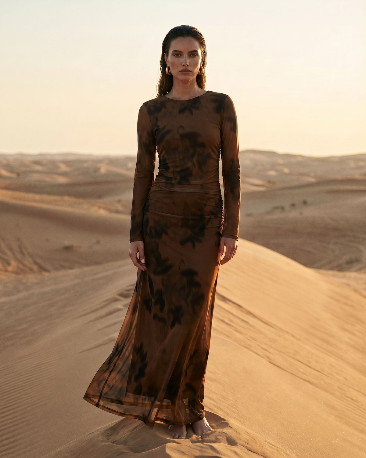 EBBY & I / SHEER BLUR DRESS / VVE12035